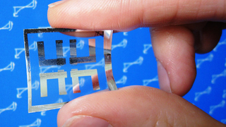 Let's Speculate: What Could Flexible Memory Be Used for?